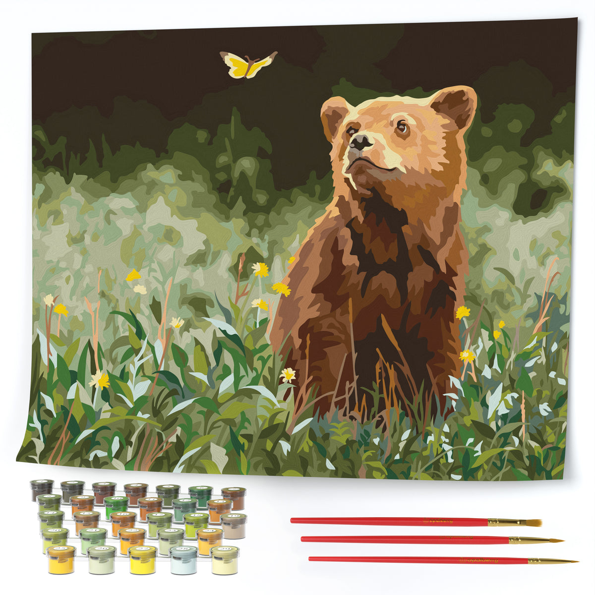Opalberry Paint by Numbers for Adults Number Painting Kit with Rolle