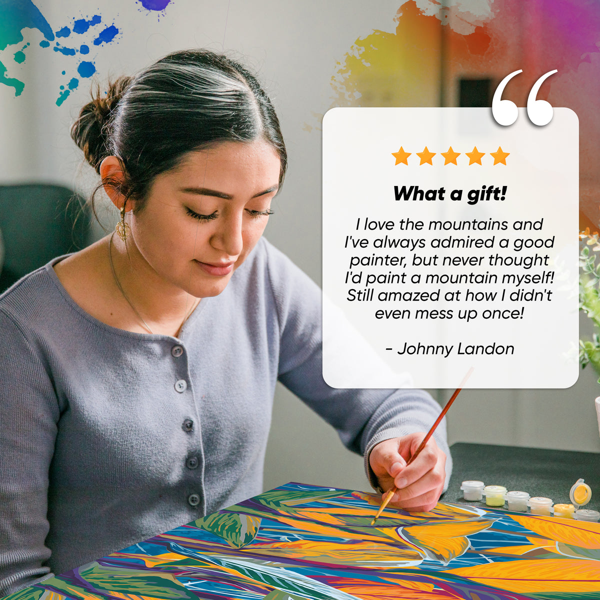 Opalberry Paint by Numbers for Adults Number Painting Kit with Rolle