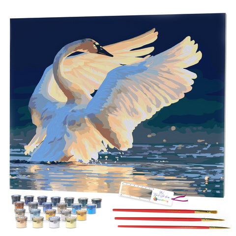 Opalberry Paint by Numbers for Adults - Number Painting Kit with Framed Canvas - DIY Painting by Numbers - 16x20in Acrylic DIY Oil Painting: Shane Lamb's Sunset Symphony