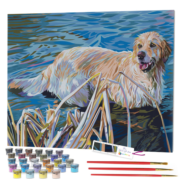 Opalberry Paint by Numbers for Adults - Number Painting Kit with Framed Canvas - DIY Painting by Numbers - 16x20in Acrylic DIY Oil Painting: Kelly McNeil's Golden Retriever