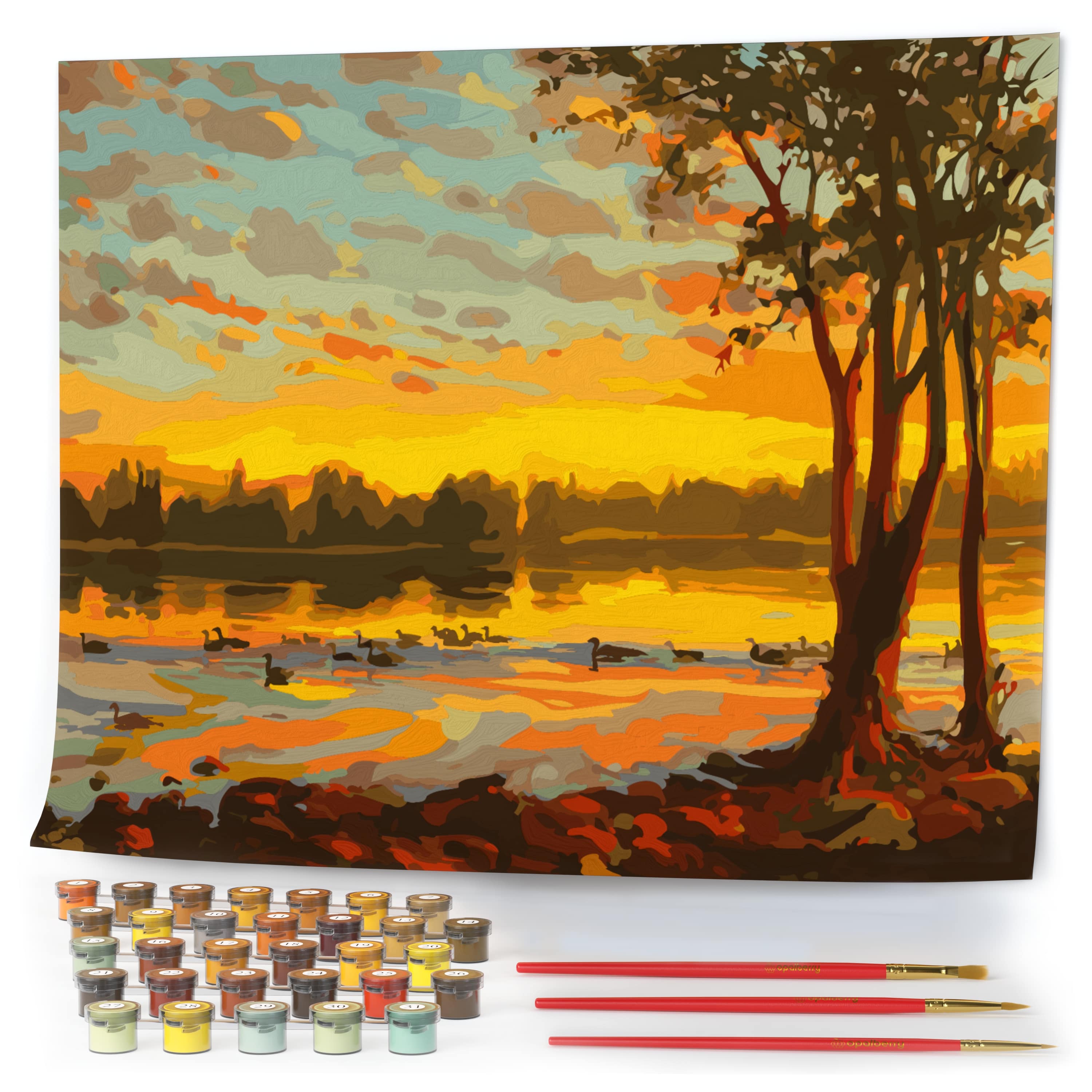 opalberry paint by numbers for adults - 16x20 wrinkle-free rolled canvas