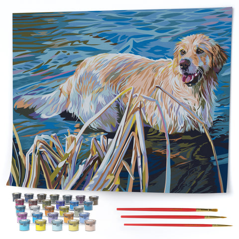 Opalberry Paint by Numbers for Adults - Number Painting Kit with Rolled Canvas - DIY Painting by Numbers - 16x20in Acrylic DIY Oil Painting: Kelly McNeil's Golden Retriever